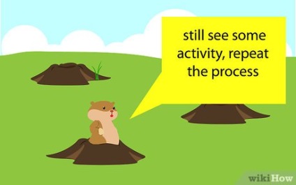 Cum să scapi de marmote