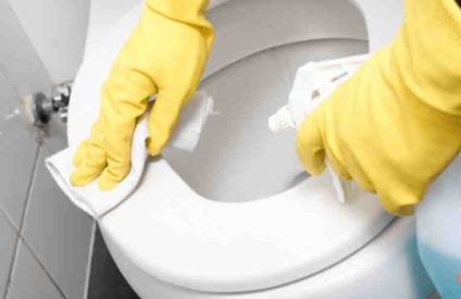 Cât de ușor de curățat toaleta de la poluarea persistentă și placa