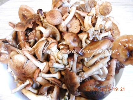 Cum să mură agaruri de ciuperci de ciuperci pentru iarnă - Mama-of-toate-meserii