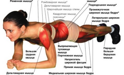 Как може да се помпа мускули и възстановяване на 40 - 45 години