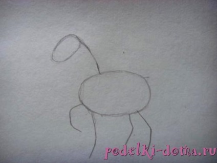 Hogyan rajzoljunk egy lovat, ötletes ötleteket és mesterkurzusokat