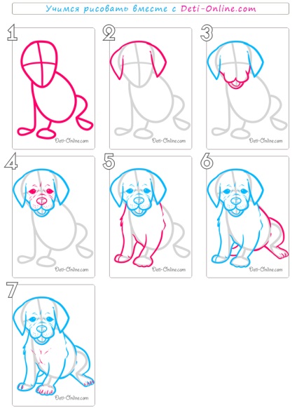 Hogyan rajzoljon rajzokat a kutyák szakaszában - hogyan kell felhívni a kutyát ceruzával lépésről lépésre