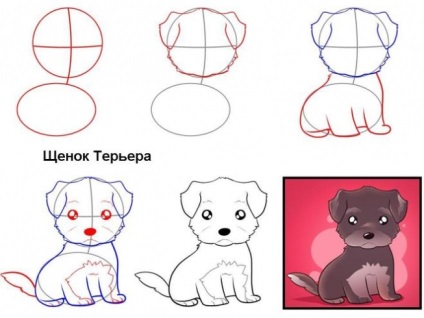 Cum de a desena desene în etape de un câine - cum să atragă un câine în creion pas cu pas