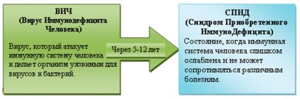 Care este diferența dintre HIV și SIDA?