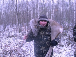 Cum de a vâna cerb în zona de mijloc a Rusiei - de vânătoare pentru solonetzes, udare, se apropie și