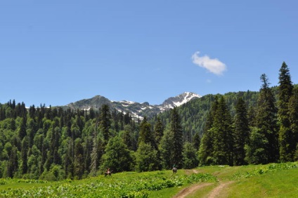 Ce destinație de a alege în Abhazia