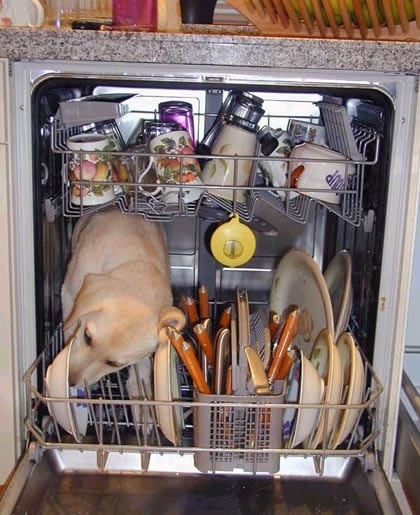 A mosogatógép helyes használata