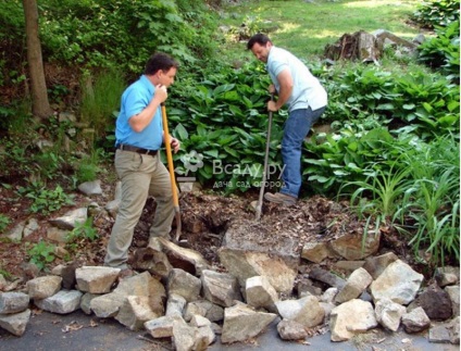 Cum să crească plante în rockeries, sfaturi horticole