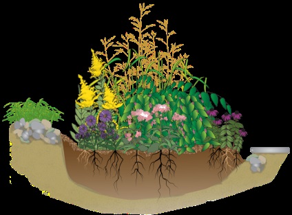 Cum să creați o grădină de ploaie pe un teren de casă