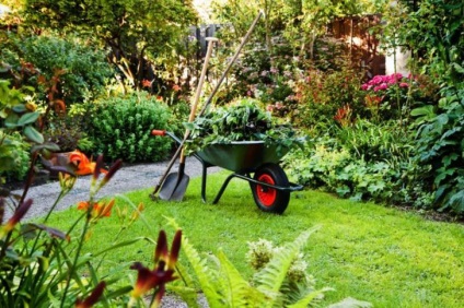 Cum de a aranja o grădină frumoasă - 10 sfaturi utile