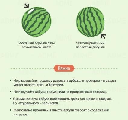Cum de a alege pepene verde corecte și dulce 1