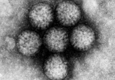 Cum să protejați copilul de infecția cu rotavirus