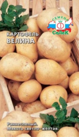 Cartofi din semințe
