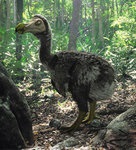 Accidentul tragic a dus la dispariția lui dodo