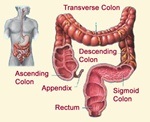 Infecțiile intestinale sunt un pericol de vară!