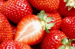 Captarea și îngrijirea căpșunilor (foto și video)