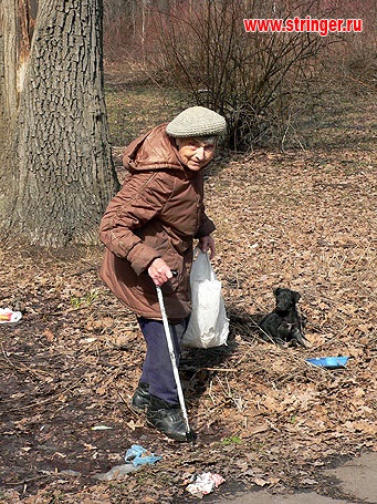 Az Alumni Club - a fő botanikus kert egy kutya-óvoda lett