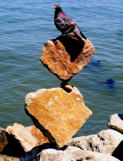 O colecție de pietre bine echilibrate, o revistă online pozitivă