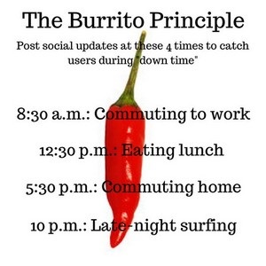 Hedgehog Concept, principiul Burrito și alte 12 practici unice de marketing pe Internet