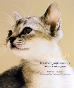 Macska nádas Novoszibirszk állatkertje