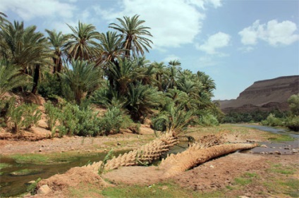 În cazul în care este mai bine să mergeți la prețurile din Maroc, foto - Maroc - ghid pentru lume