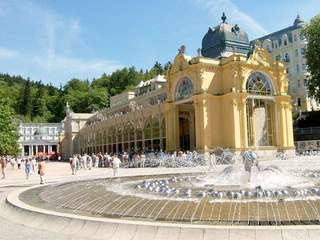 Tratamentul în Republica Cehă