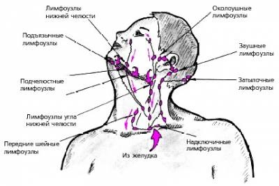 Sistemul limfatic