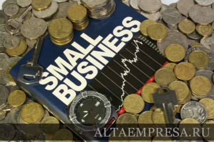 Întreprinderea mică și avantajele și dezavantajele acesteia