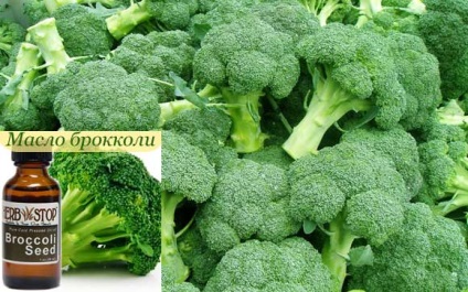 Uleiul de broccoli și proprietățile sale, beneficii pentru păr și piele