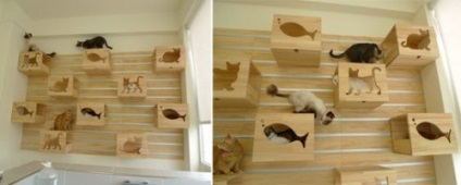 Mobilier Cat - Fundatia Cat Relief