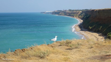 Plajele municipale și sălbatice din Kachi lângă Sevastopol