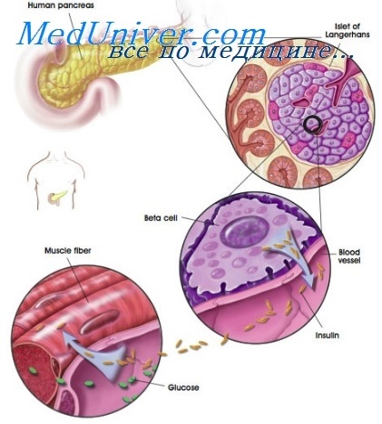 Tulburări ale metabolismului carbohidraților