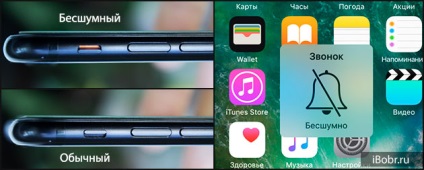 A hang beállítása a kamera iphone-ban - kapcsolja ki, kapcsolja be