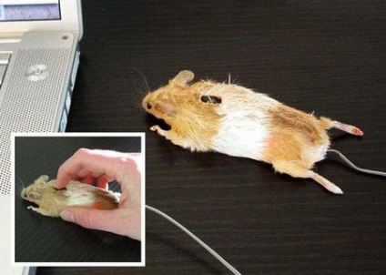 Mouse-ul computer neobișnuit