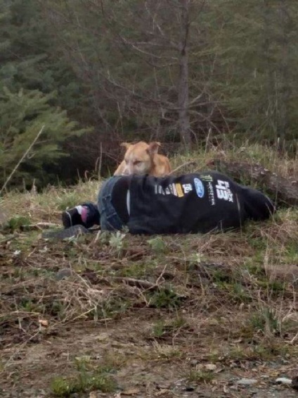 Nimeni nu putea să se apropie de acest câine vagabond până când fată nu a făcut-o