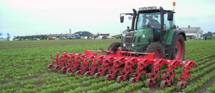 Cultivarea solului pentru sfeclă de zahăr, agroelement