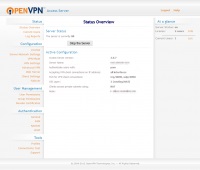 Openvpn server de acces