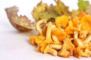 Chanterelles otrăvire simptome, tratament