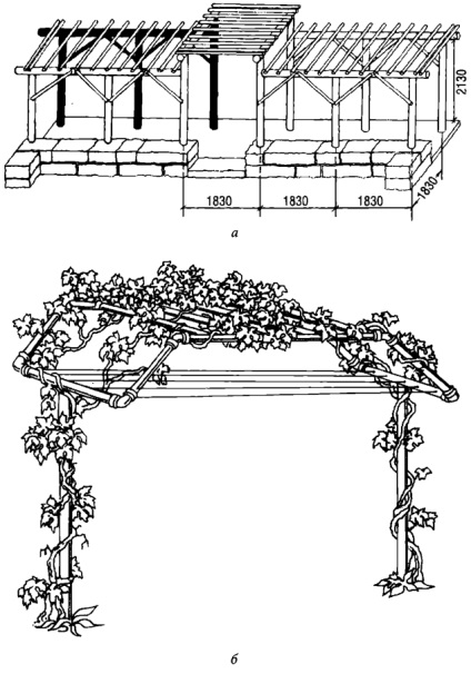 Chioscuri, construirea blogului lui Michael Stropov