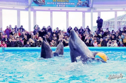 Az első dolphinarium Minszkben (fotó, video jegyárak) az állatkertben - turisztikai blog a többiekről (fotó) Az első dolphinarium Minszkben (fotó, video jegyárak) az állatkert turista blogjában a többiekről