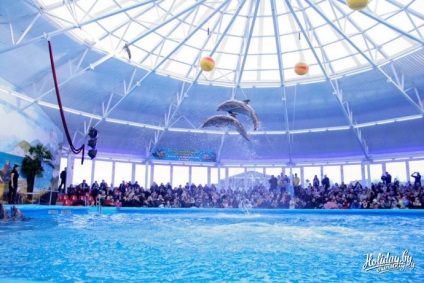 Az első dolphinarium Minszkben (fotó, video jegyárak) az állatkertben - turisztikai blog a többiekről (delfinarium) Az első dolphinarium Minszkben (fotó, video jegyárak) az állatkert turista blogjában a többiekről