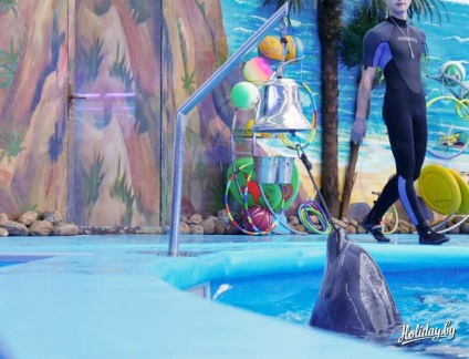 Az első dolphinarium Minszkben (fotó, videoklipp árak) az állatkertben - turisztikai blog a szabadidőről (Minszk) Az első dolphinarium Minszkben (fotó, video jegyárak) az állatkert turista blogjában a többiekről