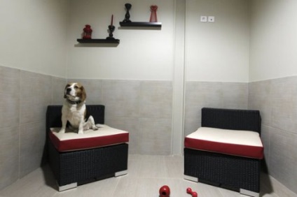 Az első szálloda Európában a luxus osztályú kutyák számára