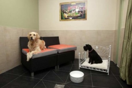 Az első szálloda Európában a luxus osztályú kutyák számára