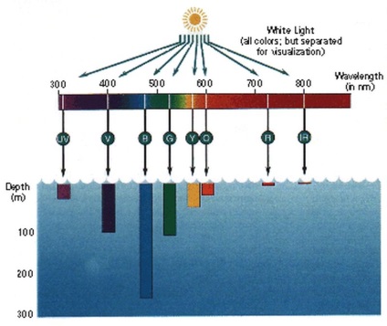 De ce este oceanul albastru - un ochi infografic?