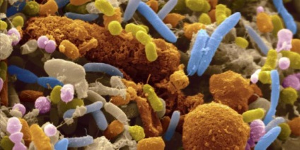 De ce ar trebui să renunți la săpunul antibacterian