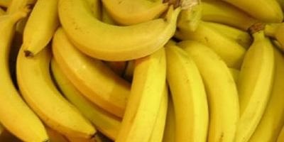 Segítsen megállapítani, hogy egy banántermesztés az ablakpárkányon, a szakértők válasza