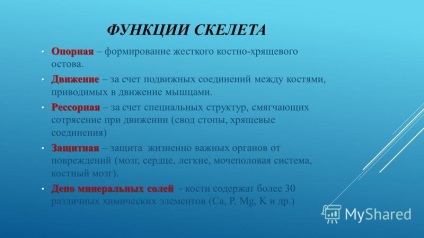 Prezentarea pe tema oaselor ca structură organică și funcție a oaselor