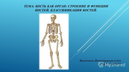 Prezentare pe tema oaselor ca structură organică și funcția oaselor