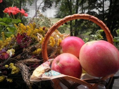 Az alma mentett hagyományaira és szokásaira utaló jelek